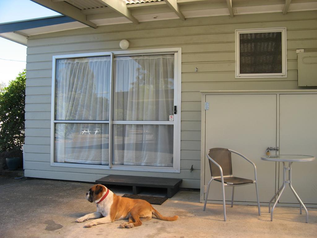 Tongariro River Motel Turangi Cameră foto