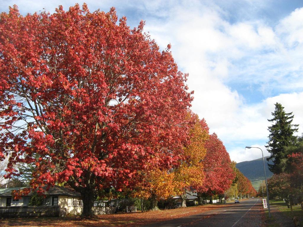 Tongariro River Motel Turangi Cameră foto